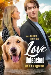 В поисках любви