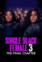 Одинокая темнокожая женщина: Последняя глава