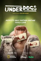 Аутсайдеры