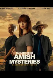 Тайны амишей из Шугар Крика: Нет худа без добра